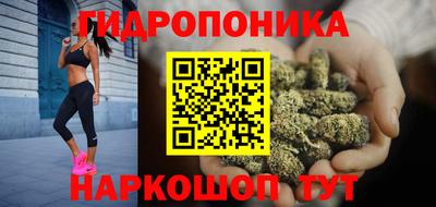 соль ск Гусев