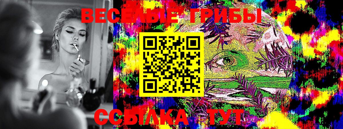 Нальчик  Псилоцибиновые грибы Cubensis  Вход с VPN 
